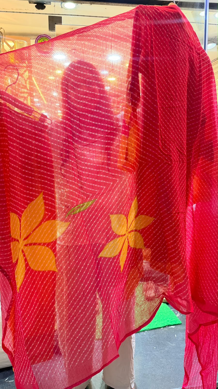 The Colour Detour – Banarasi Kota Doria Farsi Set