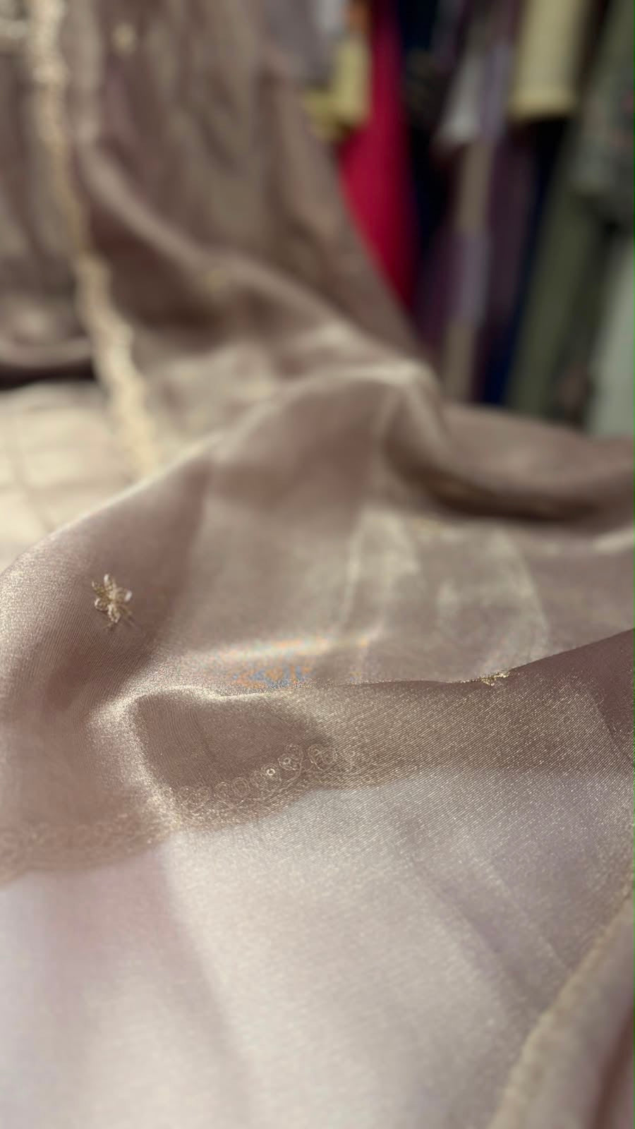 Sunehri Veil Shimmer Suit Set ~ Luxe