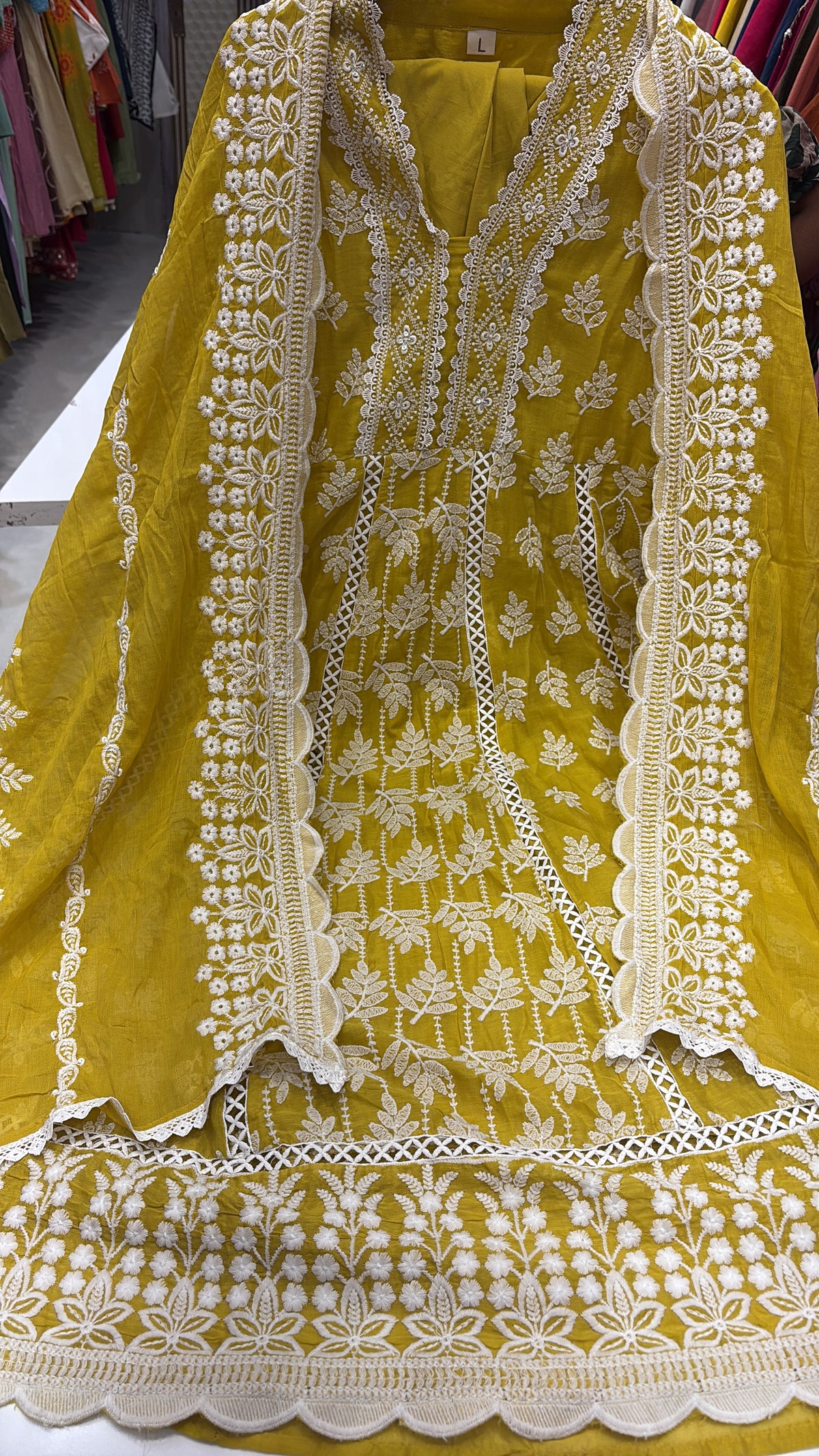 Sunlight blush – Chikankari Anarkali
