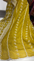 Sunlight blush – Chikankari Anarkali